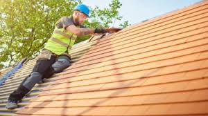 Best Asphalt Shingles Roofing  in South Venice, FL