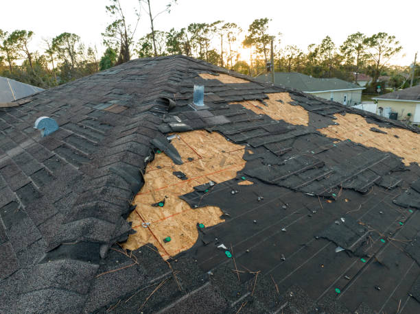 Best Asphalt Shingle Roofing  in South Venice, FL